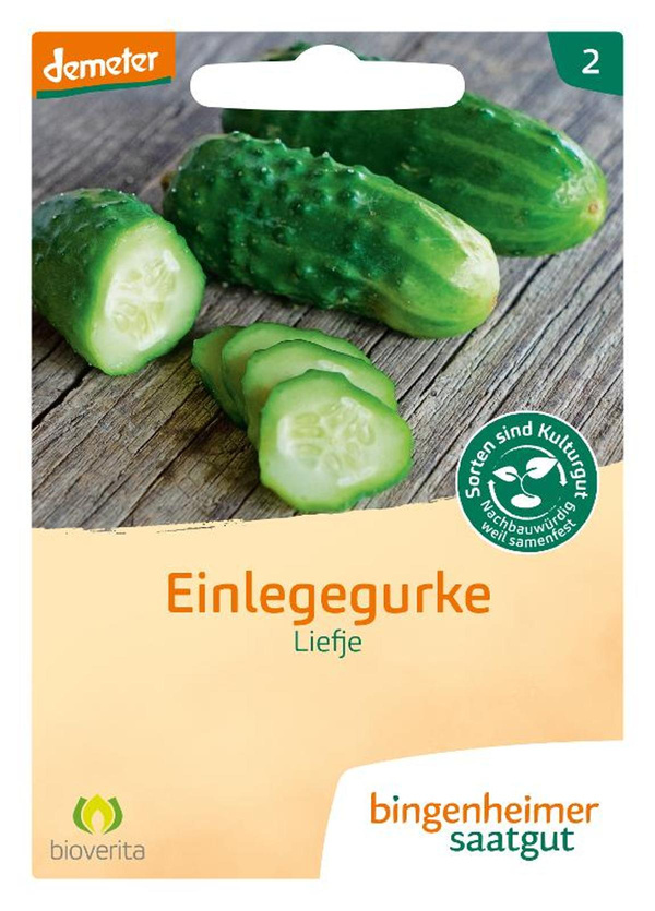 Produktfoto zu Einlegegurke Liefje – Saatgut