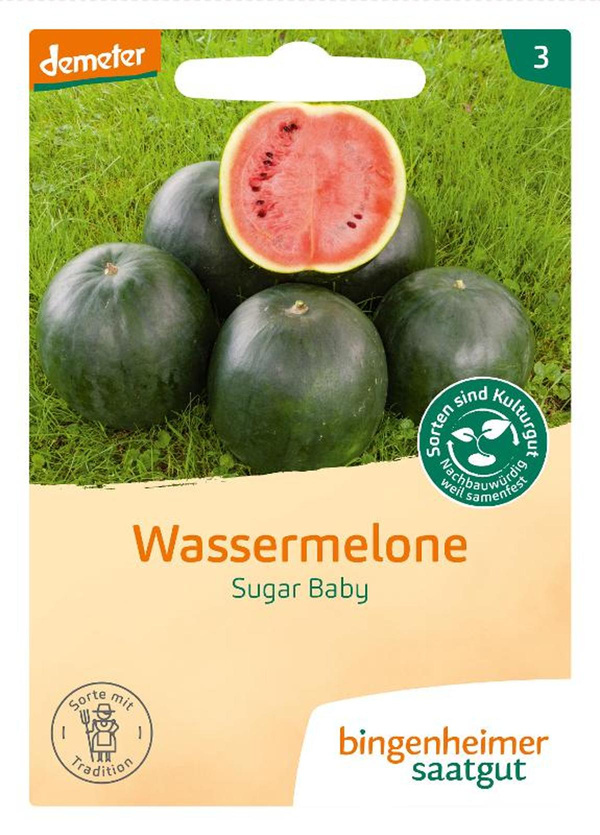 Produktfoto zu Wassermelone Sugar Baby – Saatgut