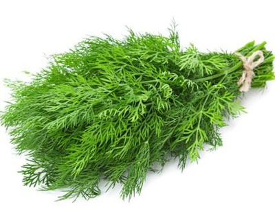 Produktfoto zu Dill im Bund (ca. 40 g) | Bois
