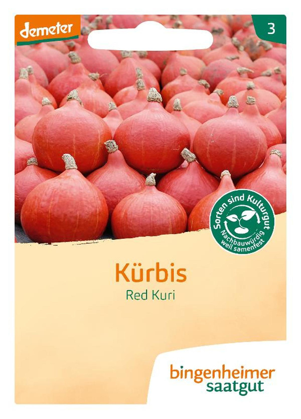 Produktfoto zu Hokkaido Kürbis Red Kuri – Saatgut
