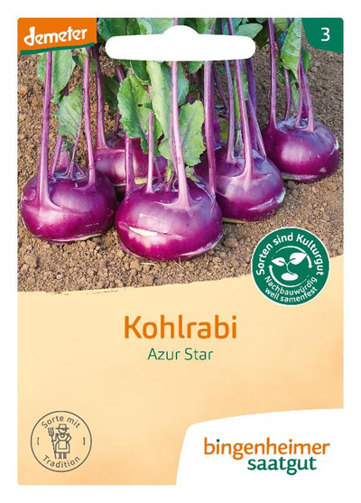 Produktfoto zu Kohlrabi Azur Star – Saatgut