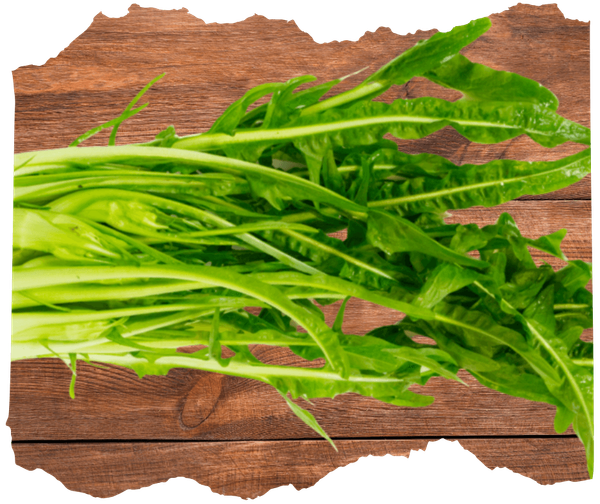 KI generiert: Ein Bündel frischer, grüner Chicorée auf einer Holzoberfläche.