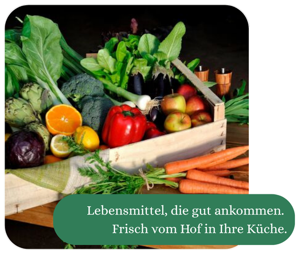 Bio-Gemüsekiste vom Blumenhof Eitorf – frisch geliefert im Rhein-Sieg-Kreis