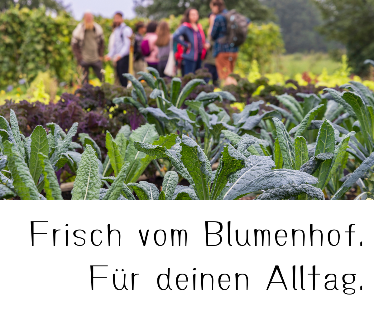 KI generiert: Gemüsepflanzen im Vordergrund, im Hintergrund Menschen. Text: "Frisch vom Blumenhof. Für deinen Alltag."