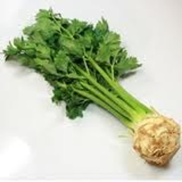 Produktfoto zu Sellerieknolle mit frischem Grün – Hof Hüsgen
