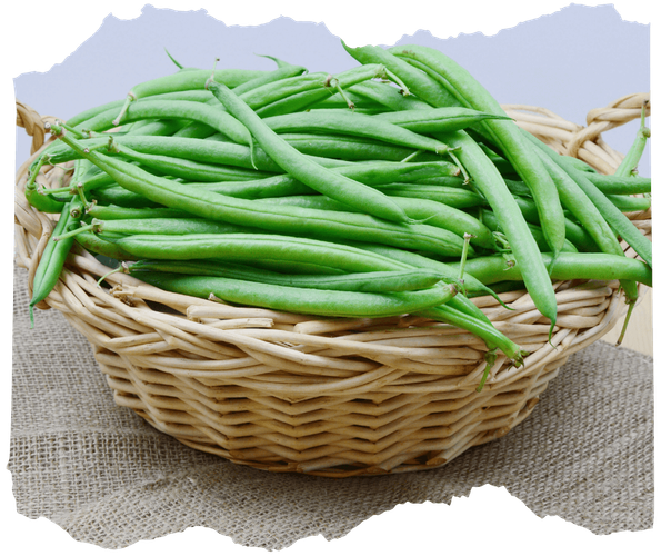 KI generiert: Ein Korb voller grüner Bohnen auf einem Jutetuch.