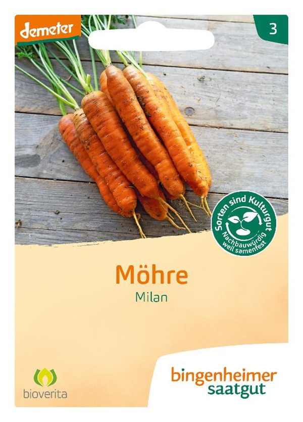 Produktfoto zu Möhre Milan – Saatgut