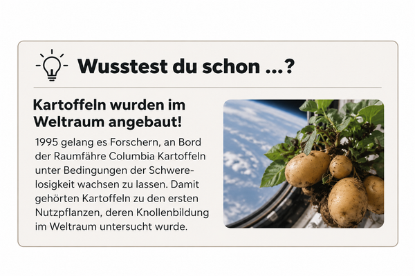 Grafisch gestalteter Infokasten „Wusstest du schon …?“ mit einem überraschenden Wissensfakt und passender Illustration.