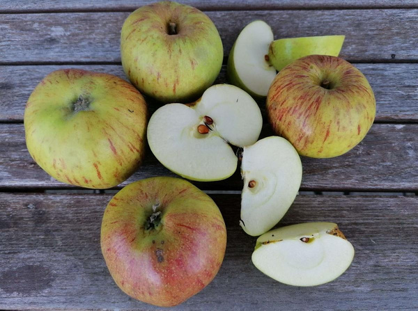 Produktfoto zu Äpfel Ontario - Luxemburger (zum Kochen & Backen) | Hüsgen