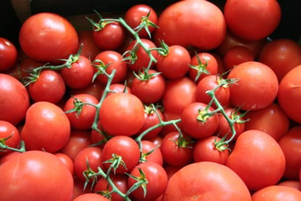 Produktfoto zu Tomaten Marzano für Soßen & Suppen | Hüsgen