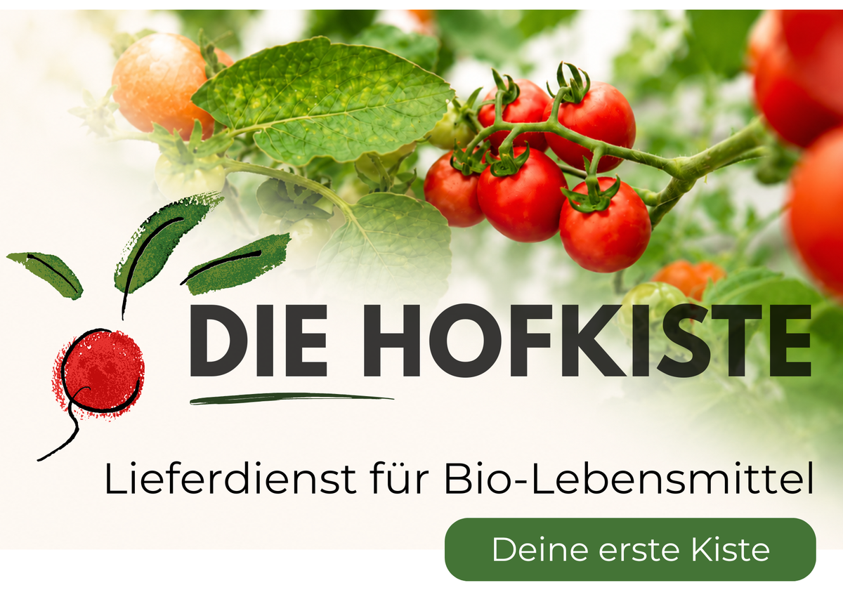 KI generiert: Rote Tomaten an einer Pflanze. Text: "DIE HOFKISTE Lieferservice für Bio-Lebensmittel. Deine erste Kiste."