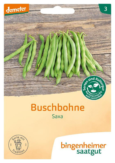 Produktfoto zu Buschbohne Grün – Saatgut