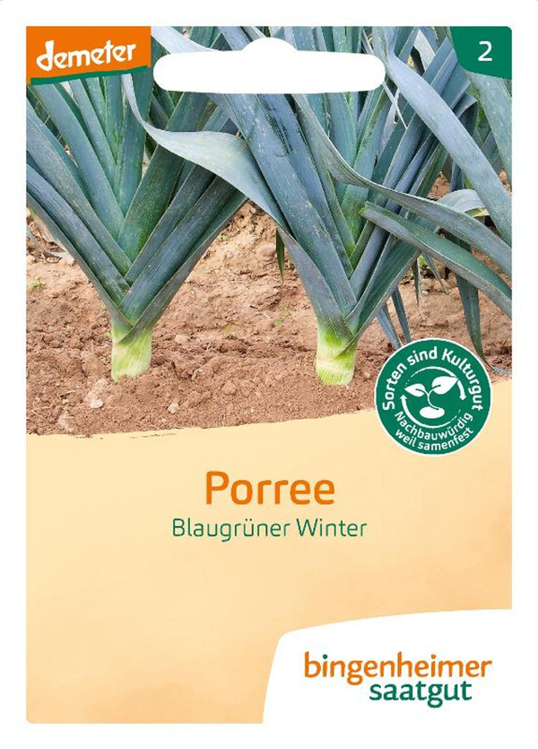 Produktfoto zu Porree Blaugrüner Winter (Avano) – Saatgut
