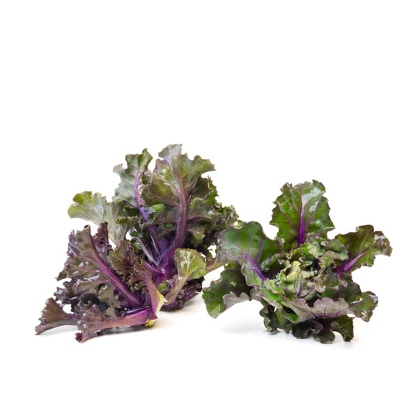 Produktfoto zu Flower Sprouts 100g – Kalettes