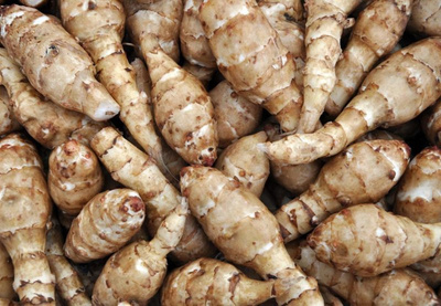 Produktfoto zu Topinambur - die nussige Knolle