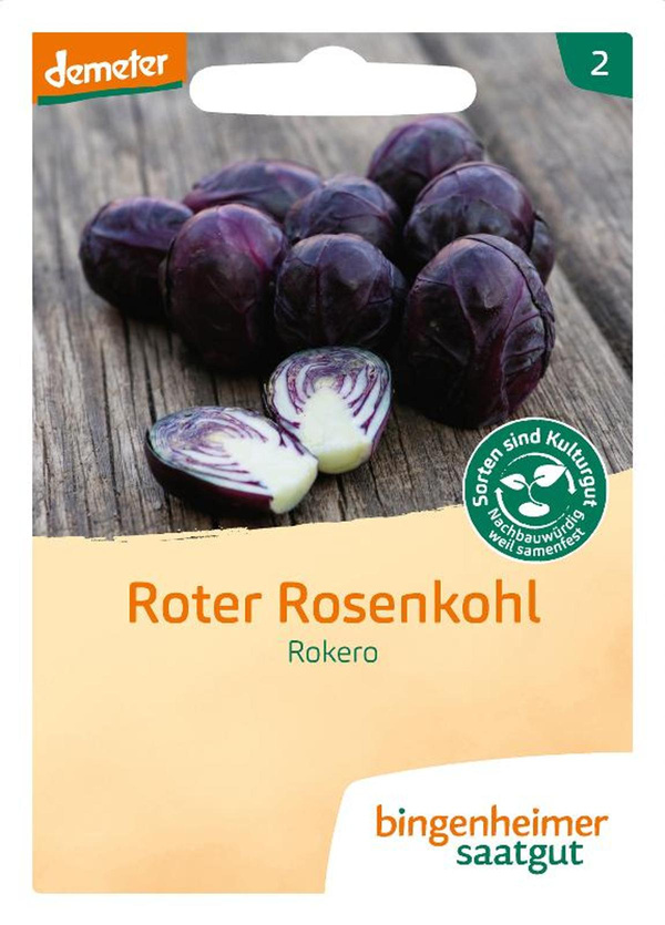 Produktfoto zu Rosenkohl Rokero – Saatgut