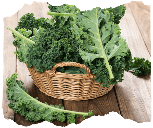 KI generiert: Ein Korb voller Grünkohlblätter auf einem Holztisch.