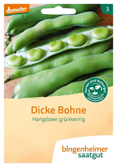 Produktfoto zu Dicke Bohne Hangdown grünkernig – Saatgut