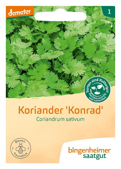 Produktfoto zu Koriander Konrad – Saatgut