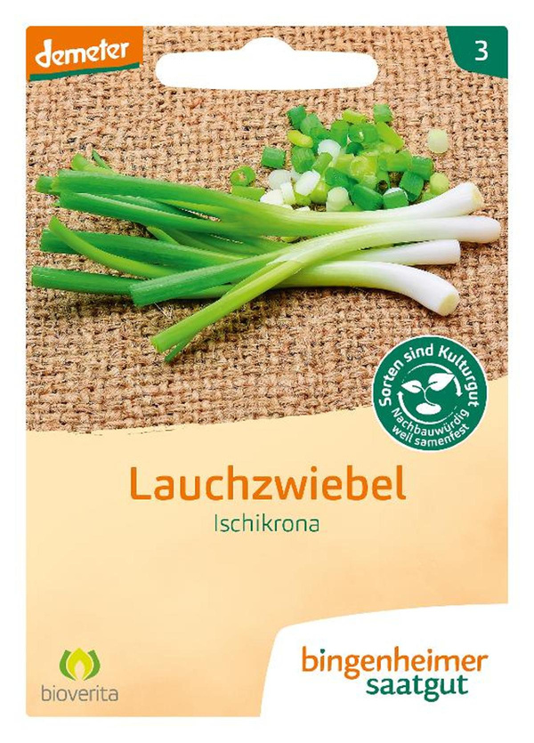 Produktfoto zu Frühlingszwiebel Ishikrona – Saatgut