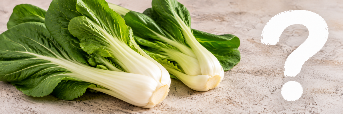 Drei frische Pak-Choi-Köpfe mit kräftig grünen Blättern und hellen, fleischigen Blattstielen auf einer hellen Steinfläche, rechts ein großes weißes Fragezeichen.