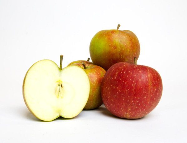 Produktfoto zu Äpfel Boskoop