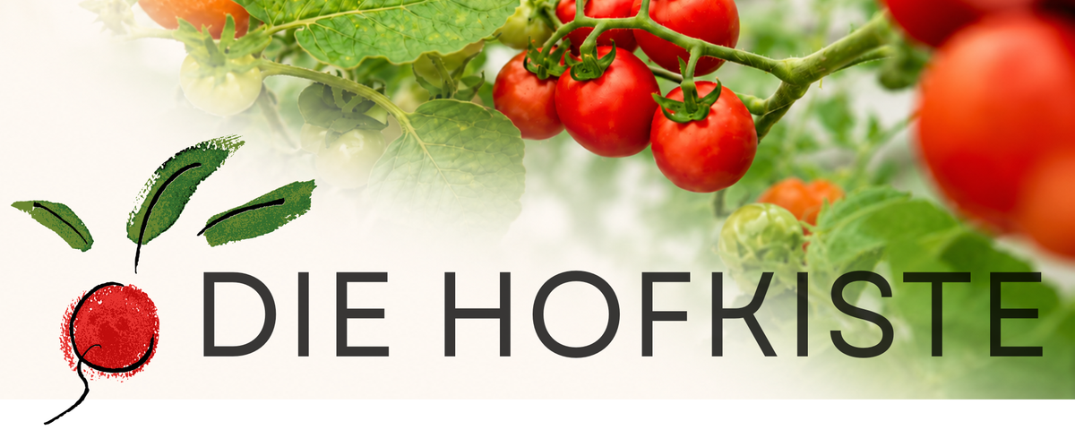 KI generiert: Tomatenpflanze mit dem Text "DIE HOFKISTE".