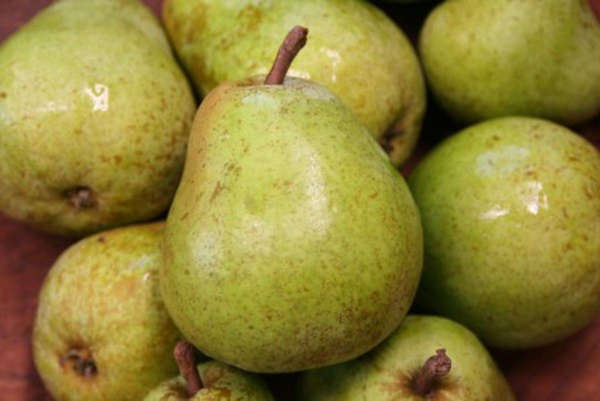 Produktfoto zu Birnen Packham Neue Ernte