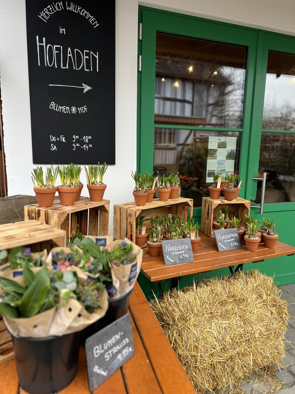 KI generiert: Topfpflanzen und Blumensträuße vor einem Hofladen mit Preisschildern. Text: "Herzlich willkommen im Hofladen".