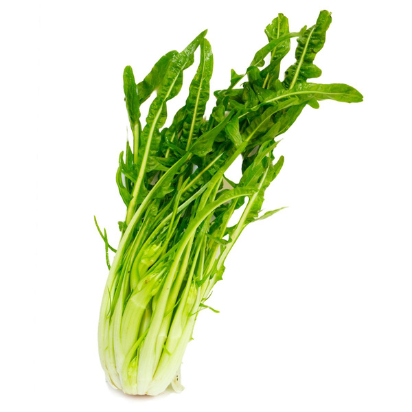 Produktfoto zu Puntarelle-Spargelchicorée (ca.500 g) | Hüsgen