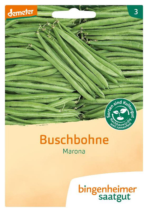 Produktfoto zu Buschbohne Marona – Saatgut