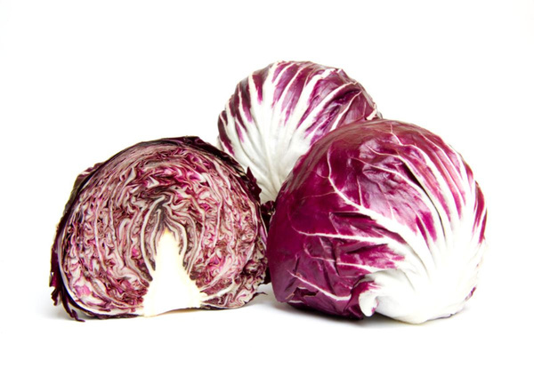 Produktfoto zu Radicchio, längliche Sorte
