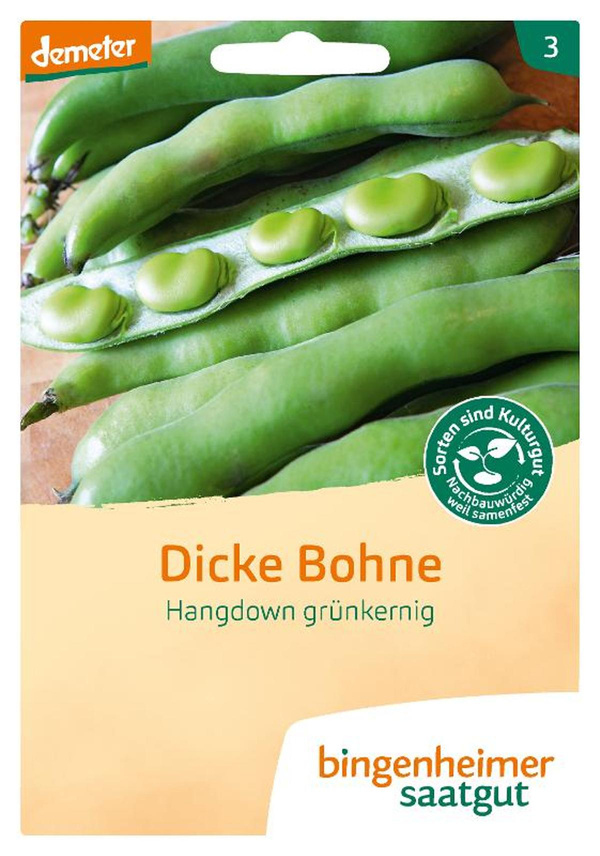 Produktfoto zu Dicke Bohne Hangdown grünkernig – Saatgut