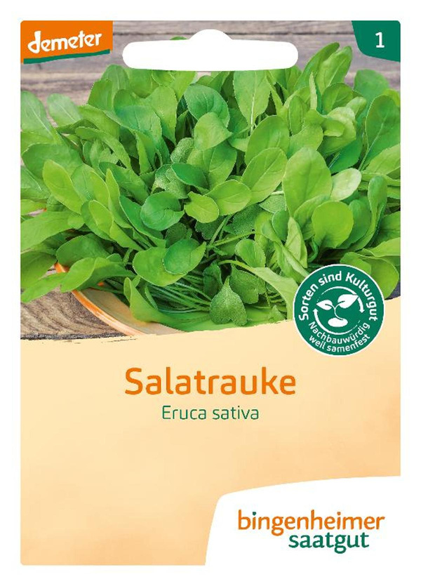 Produktfoto zu Salatrauke Rucola – Saatgut