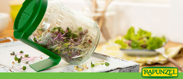 KI generiert: Ein Glas mit Sprossen steht schräg auf einer Ablage. Text: "RAPUNZEL".