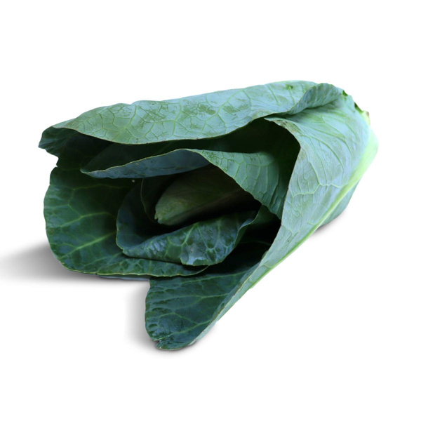Produktfoto zu Spitzkohl (ca. 700  g) Neue Ernte