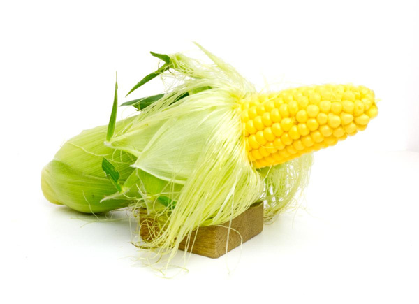 Produktfoto zu Zuckermais | Hüsgen ,Saisonende