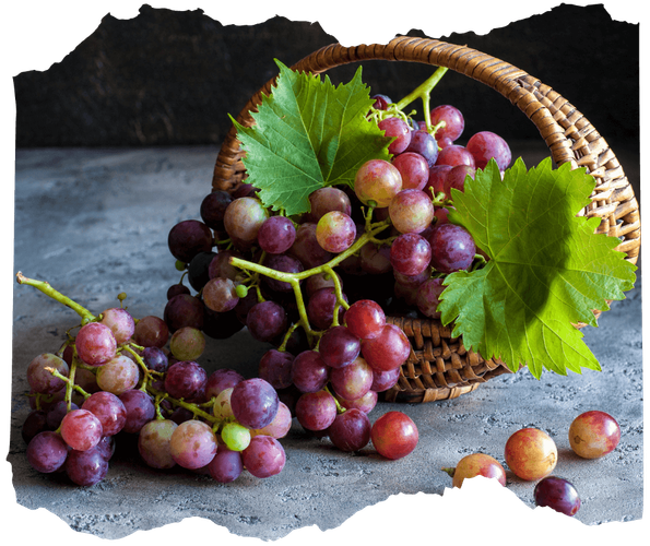 KI generiert: Ein Korb mit roten Trauben und grünen Blättern auf einer grauen Oberfläche.