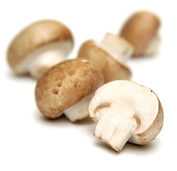 Produktfoto zu Steinchampignons 250 g