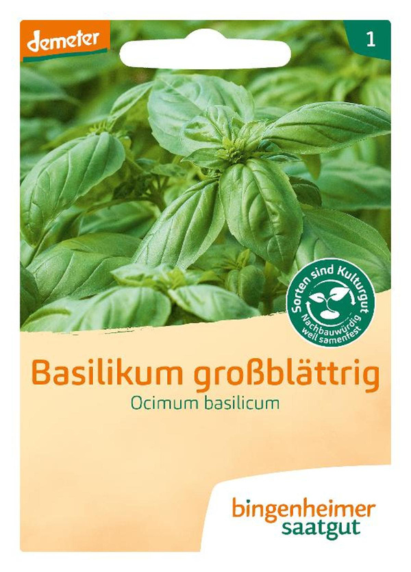 Produktfoto zu Basilikum großblättrig – Saatgut