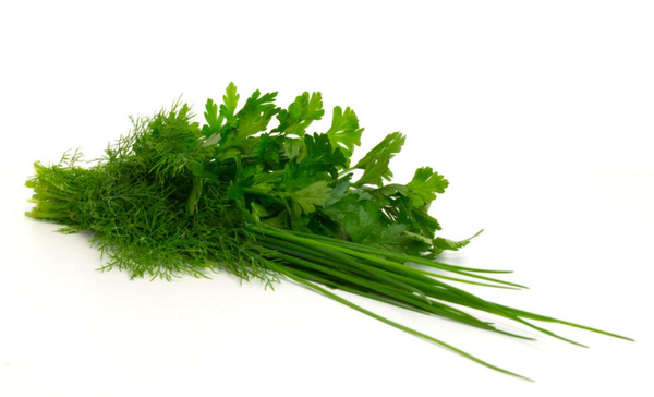 Produktfoto zu Kräuter gemischt im Bund, Dill, Petersilie, Schnittlauch und Melisse