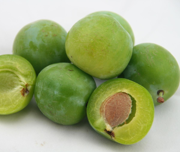 Produktfoto zu Reineclauden