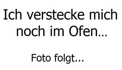 Produktfoto zu Dinkel SommerSprossen 1x2
