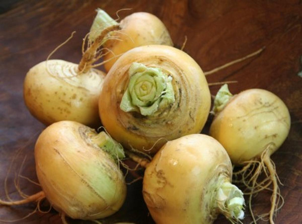 Produktfoto zu Mai - Rübchen | Hüsgen