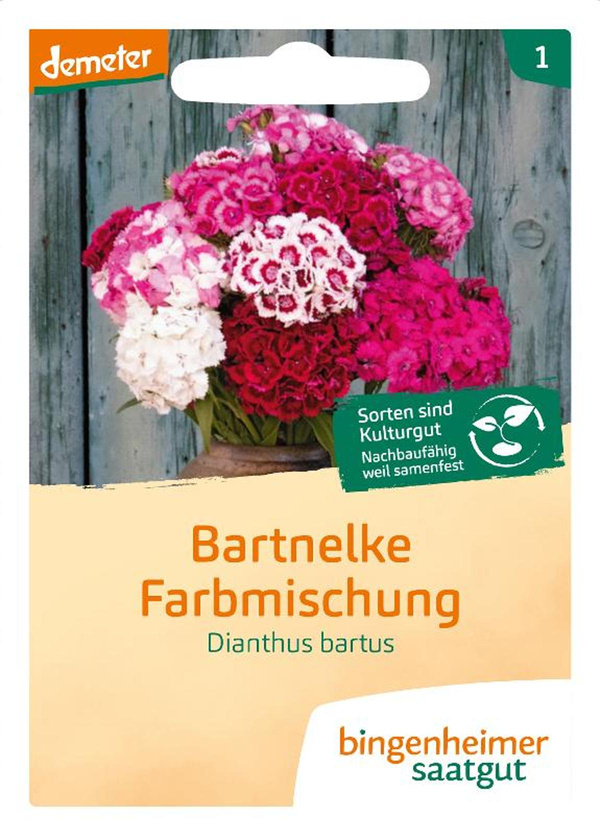 Produktfoto zu Bartnelke Farbmischung – Saatgut