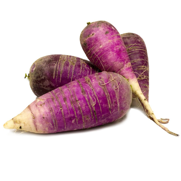 Produktfoto zu Rettich lila samenfest