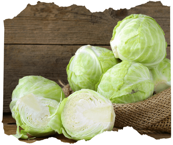 KI generiert: Frische Köpfe von Weißkohl auf einem rustikalen Holztisch, einige sind halbiert.