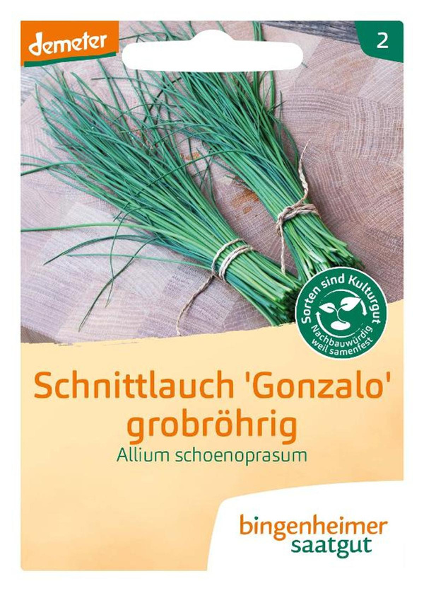 Produktfoto zu Schnittlauch Gonzales – Saatgut