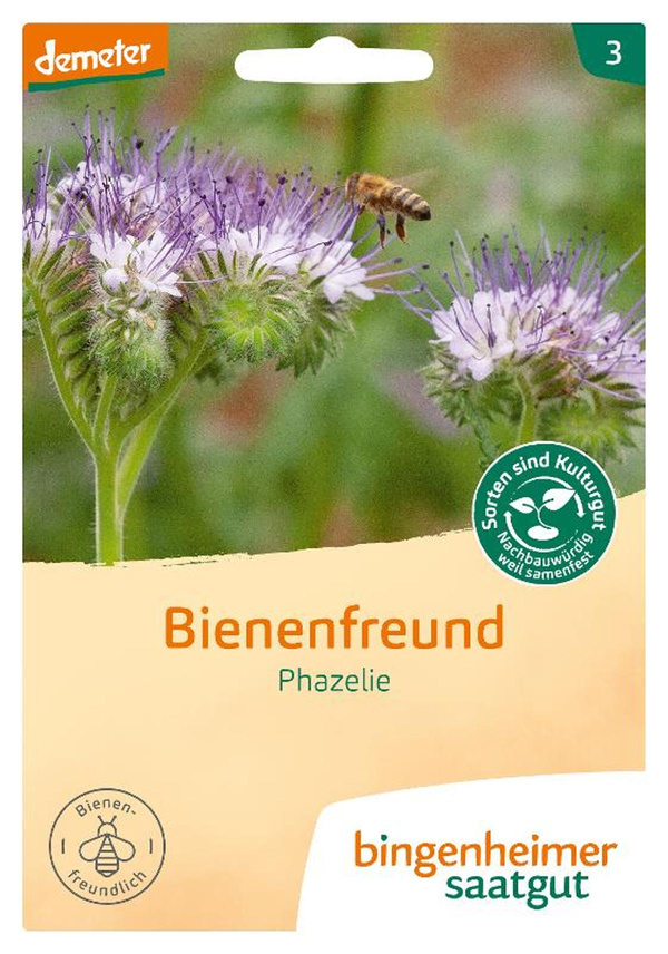 Produktfoto zu Phacelia Gründüngung – Saatgut