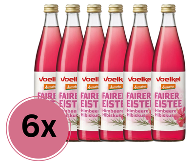 Produktfoto zu Eistee Himbeere & Hibiskus, fruchtig und erfrischend